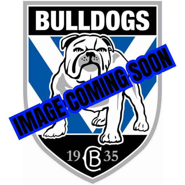 2024 Canterbury Bulldogs ADULTS Indigenous Training Tee